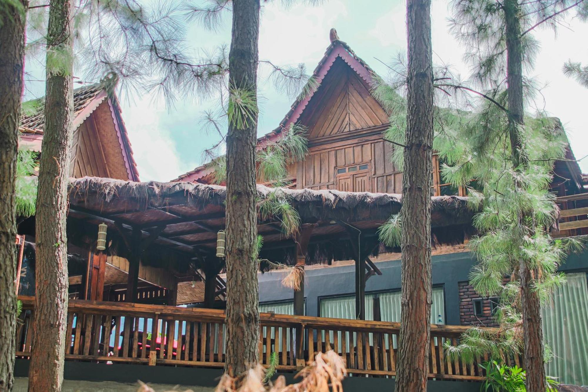 Omah Kayu Bromo Villa Ngadisari ภายนอก รูปภาพ